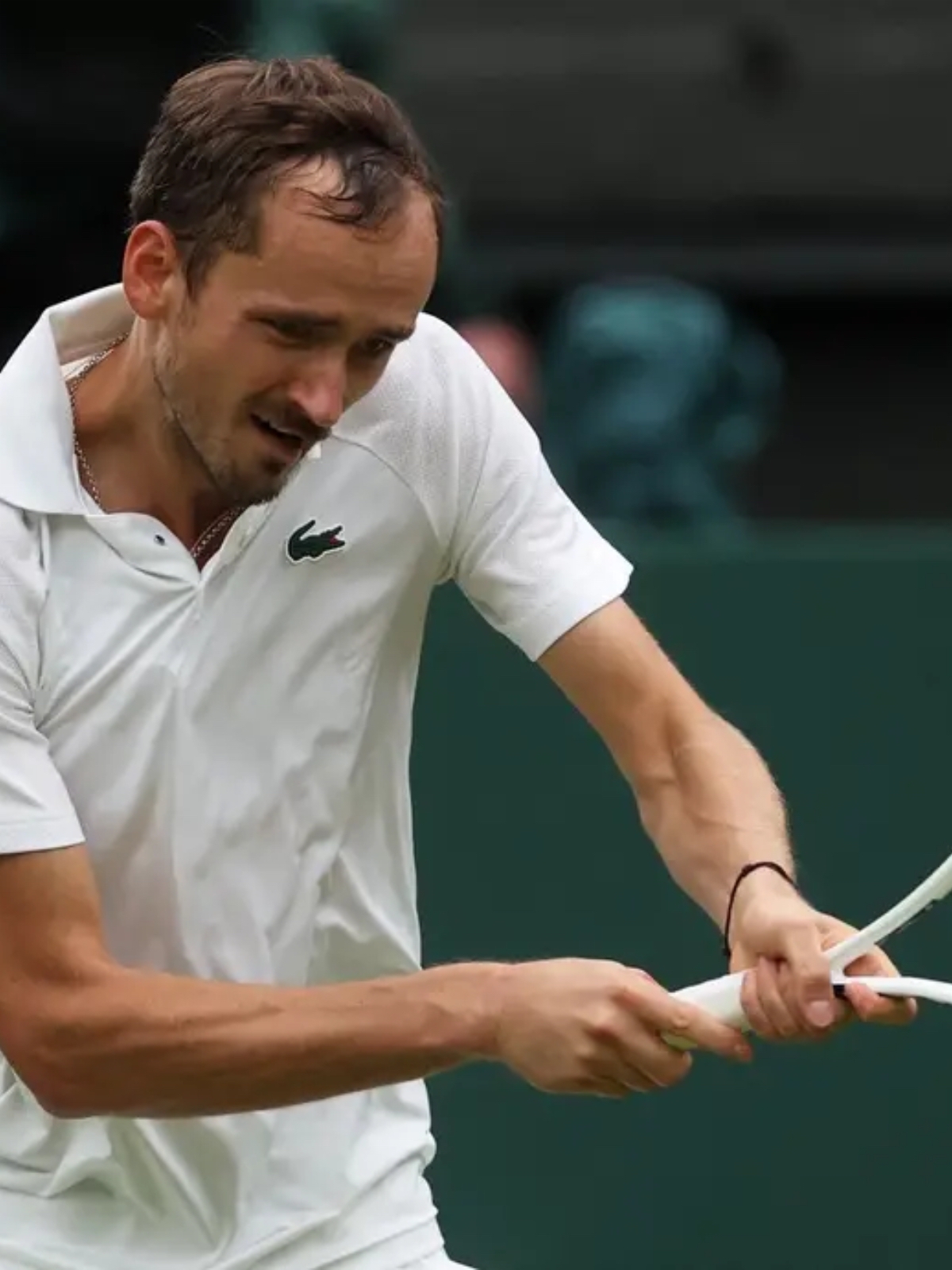 包含ATP总决赛翻盘法网，梅德韦杰夫统治全场的词条