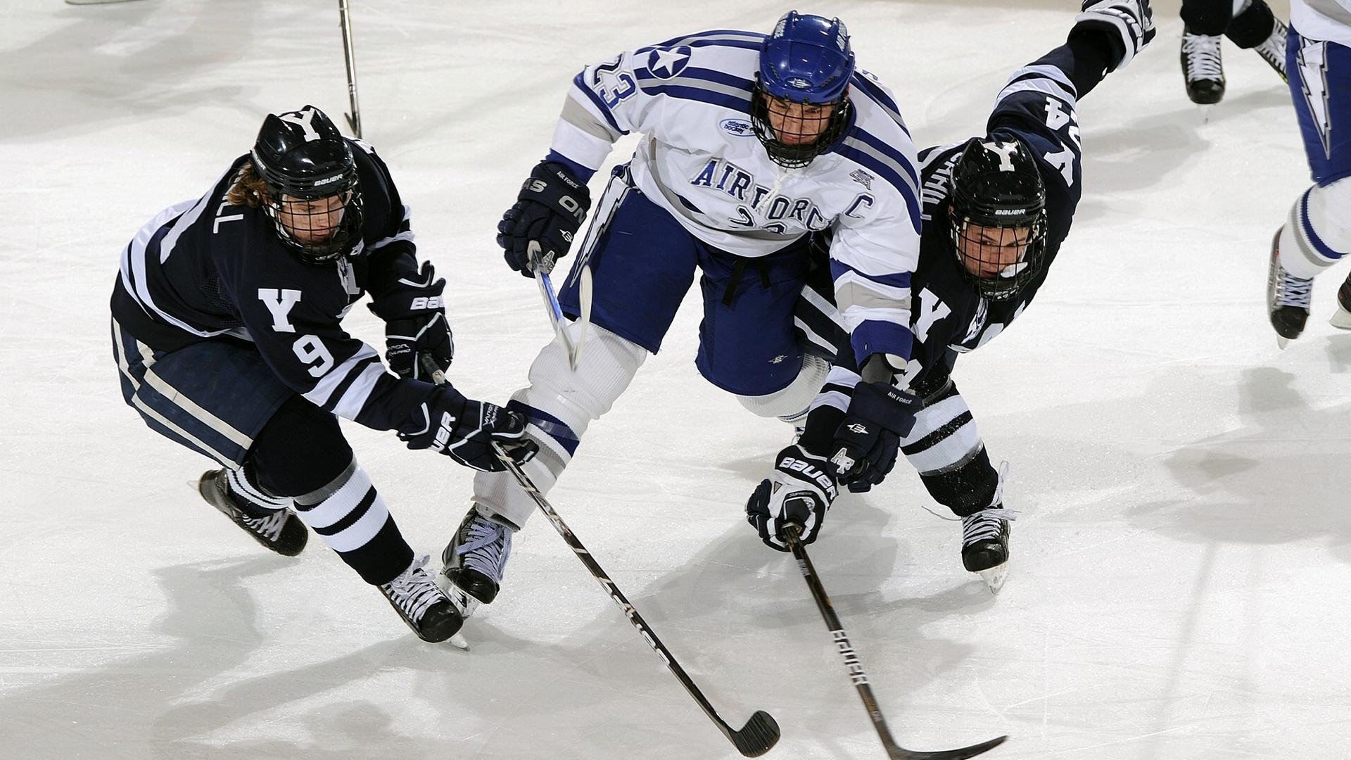 新王登基!拉梅洛惊艳四座,猛龙末节风暴逆转雄鹿