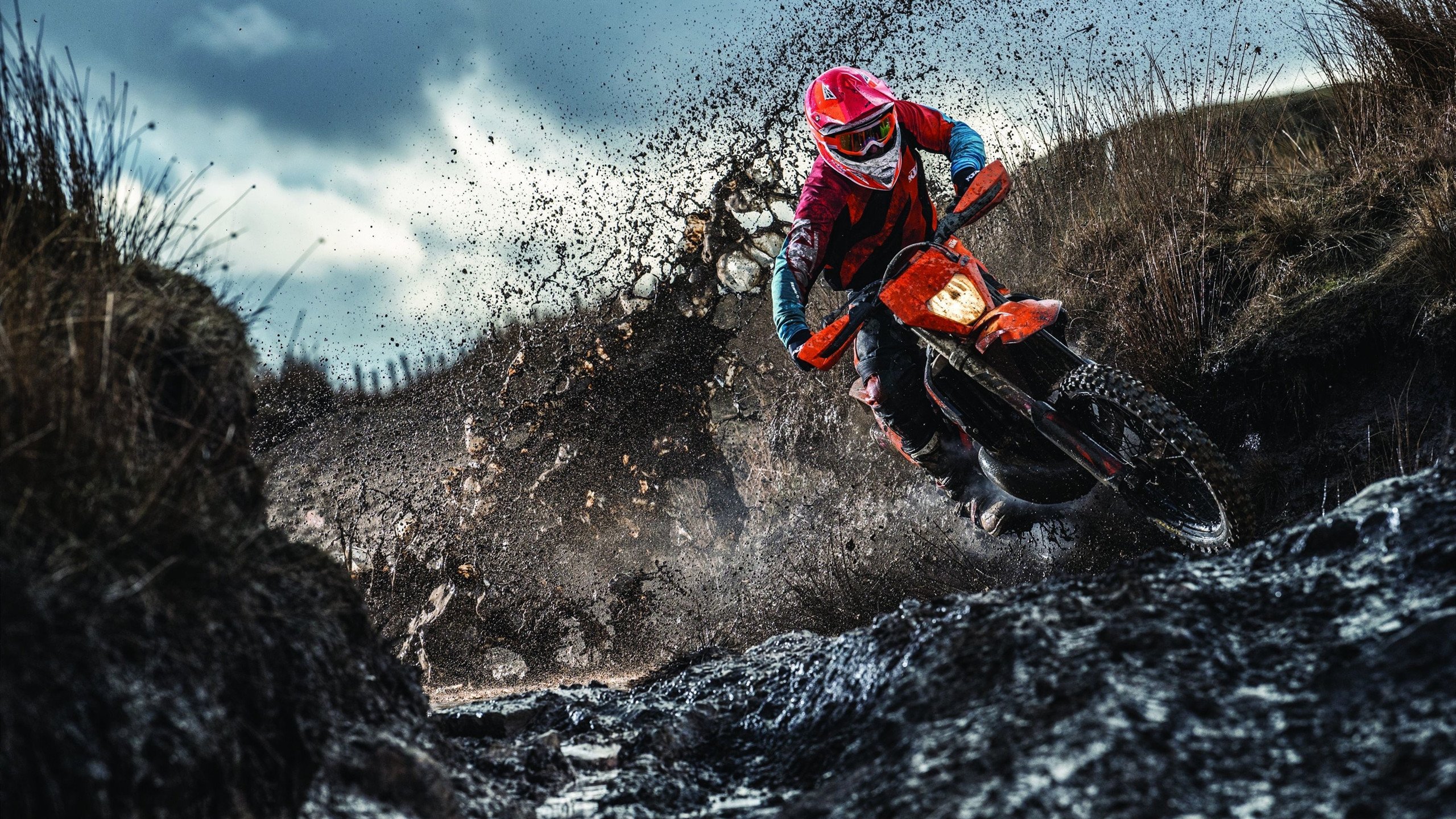 莱万点石成金，韩国爆冷苏格兰的背后，关键先生的冷与热